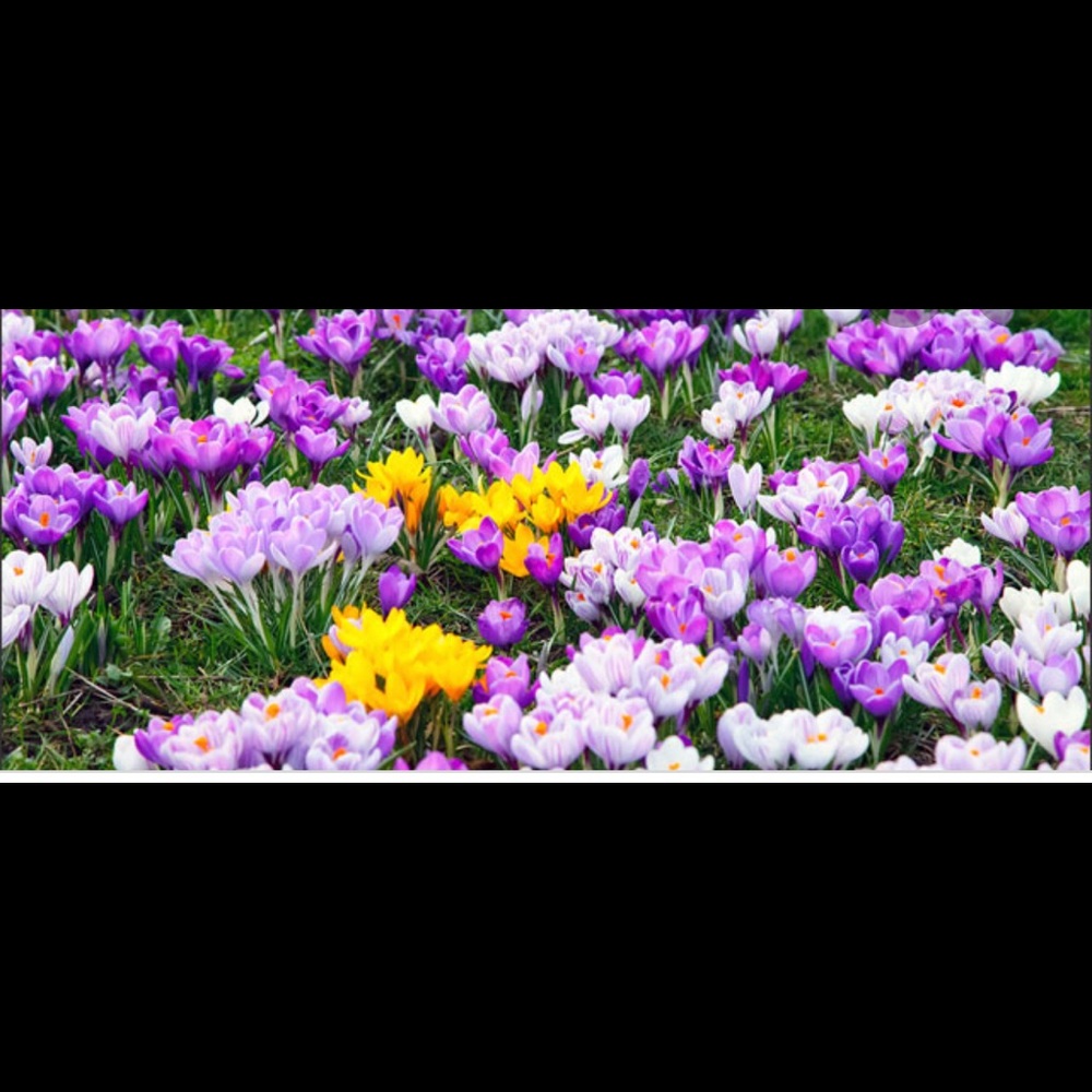 Meet your Posher, Krystine